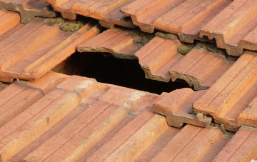 roof repair Grinacombe Moor, Devon